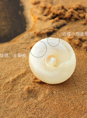 天然海螺贝壳白色夜光螺磨皮珍珠荧光塔螺鱼缸造景海星水族装饰品
