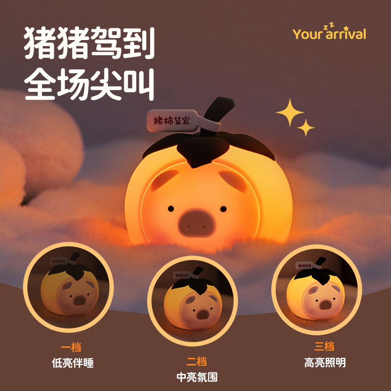 猪柿皆宜生日礼物送女友女生闺蜜老师同学小众高级感祝福毕业礼物