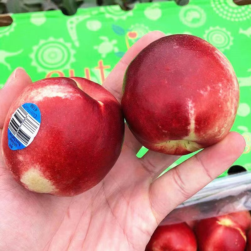 新鲜水果进口油桃澳大利亚桃驳李桃子当季蜜桃5斤多地顺丰包邮,淘宝优惠券,粉丝福利购,淘宝优惠卷