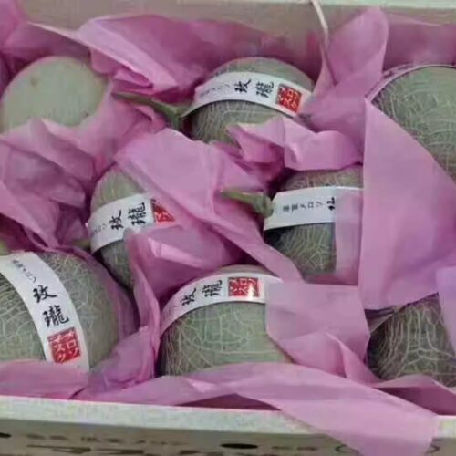 新鲜水果现货静玫陇蜜瓜2粒装爆甜海南玫珑网纹蜜瓜梅珑多地包邮 - 图0