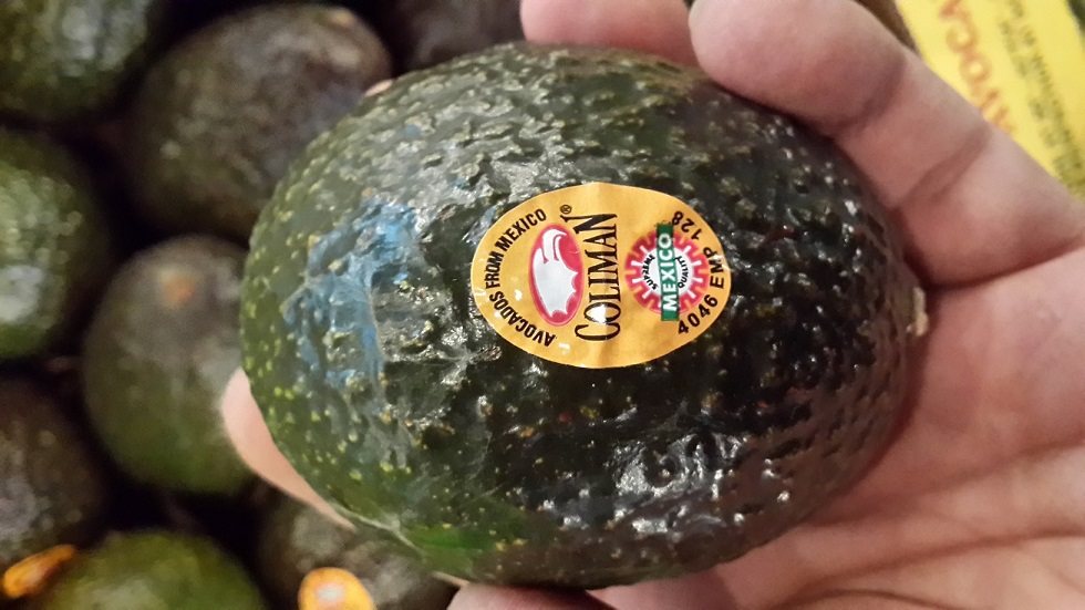 Freshly imported SF avocados from more than 8 places with free shipping