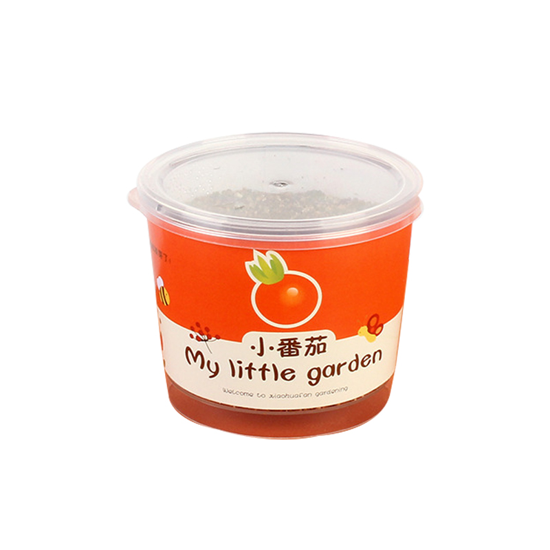 儿童植物罐头创意小盆栽栽培桌面迷你绿植草莓向日葵种植种子盲盒,淘宝优惠券,粉丝福利购,淘宝优惠卷