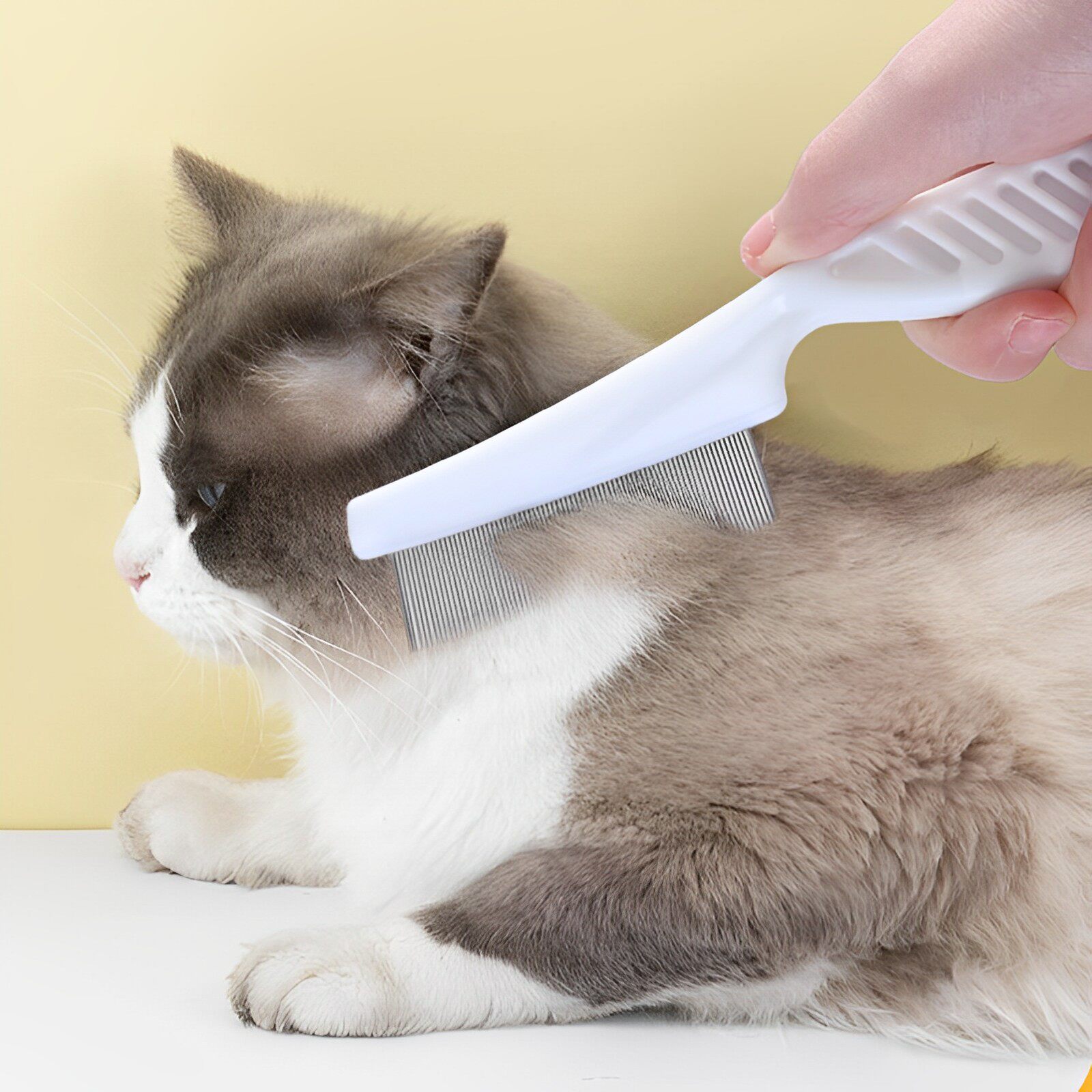 宠物猫咪狗狗嘴毛梳密齿小排梳面梳整理眼部清理脸部针梳跳蚤梳子,淘宝优惠券,粉丝福利购,淘宝优惠卷