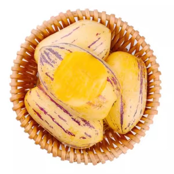 沙漠人参果甘肃民勤黄肉应季新鲜人生果低糖孕妇水果