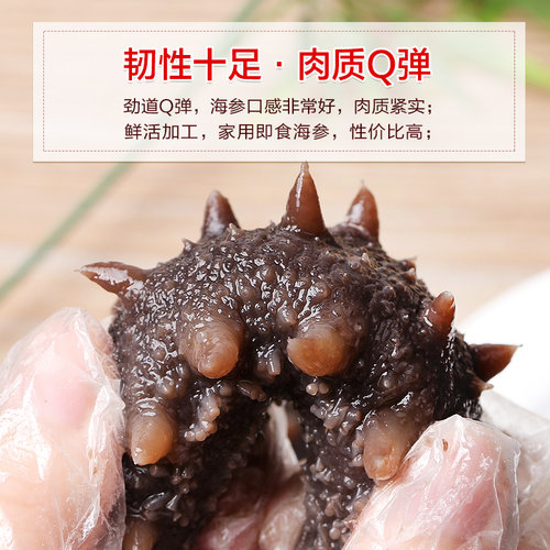 东上御品海参即食大连瓦房店鲜活野生海生7年刺参干货旗舰店 - 图3