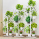 Multi-layered indoor flower shelves are simple and modern