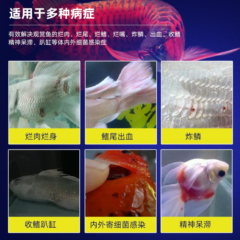 帮星金露观赏鱼万能疾病调理改善预防鱼烂身烂尾感染出血锦鲤金鱼