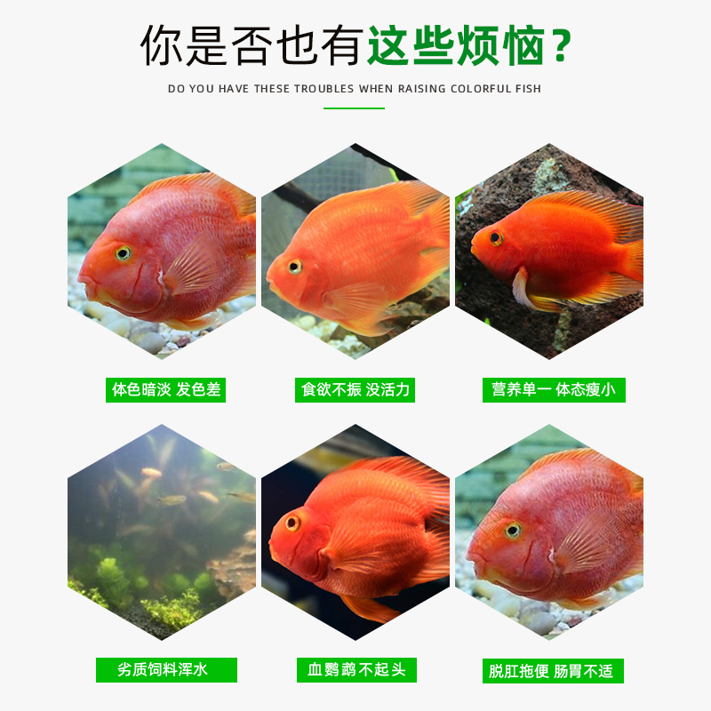 帮星真星红血鹦鹉鱼增红增色专用饲料地图鱼饲料鱼粮发财鱼鱼食 - 图0