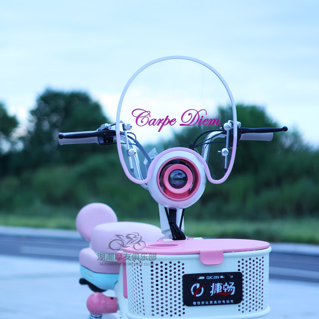 Electric bicycle small electric vehicle decorative windshield