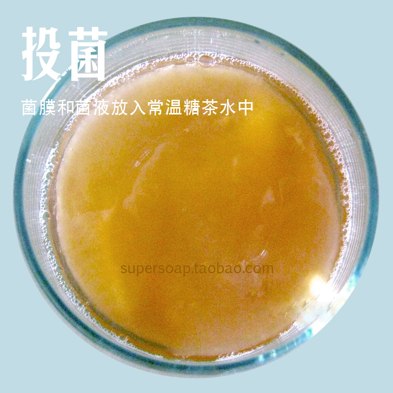 红茶菌正宗菌种胃宝海宝醋蛾子自酿醋饮料kombucha康普茶 - 图0