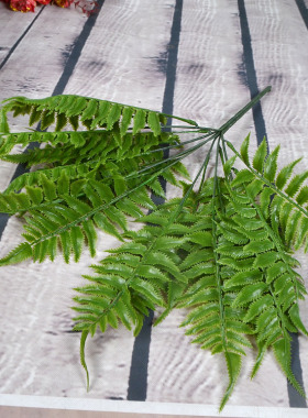 仿真绿植手感软胶鹿角蕨草