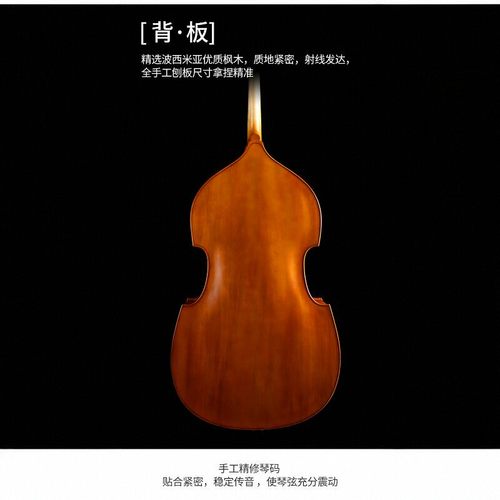梵阿玲D003低音提琴进口料倍大提琴全实木大贝司成人儿童初学演奏 - 图3