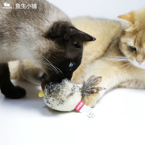 鱼生 小铺 捕猎 捕猎 贵 贵 小鸟 老鼠 猫咪 玩具 逗 猫棒仿真发声 猫棒仿真发声 猫棒仿真发声 猫棒仿真发声 猫棒仿真发声 猫棒仿真发声 猫棒仿真发声