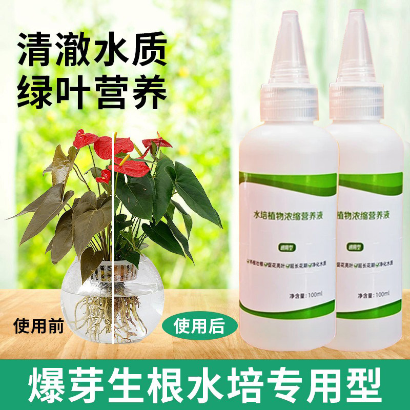 水培植物营养液通用型绿萝富贵竹转运竹碗莲铜钱草发财树专用肥料,淘宝优惠券,粉丝福利购,淘宝优惠卷