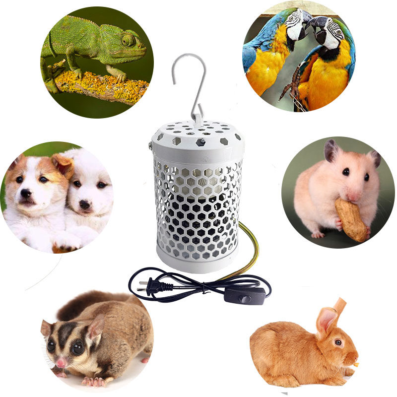 鹦鹉鸟类专用无光保温灯取暖恒温控过冬防咬防烫灯罩鸟笼窝加热器,淘宝优惠券,粉丝福利购,淘宝优惠卷