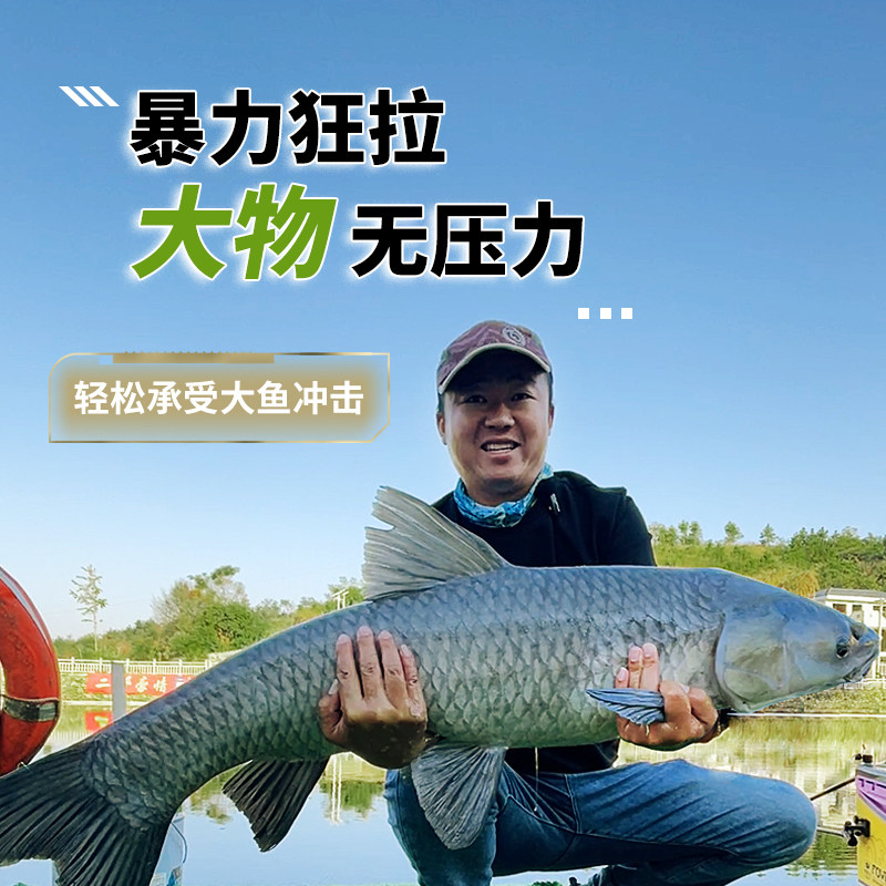 钓鱼王白刺轻量大物竿鱼竿鲢鳙青鲟巨物钓鱼竿超轻硬碳素台钓手杆,淘宝优惠券,粉丝福利购,淘宝优惠卷