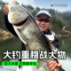 Fishing King Fishing Rod, Lightweight and Large, Second Generation Rod, Silver Carp, Bighead Carp and Green Sturgeon Fishing Rod, Ultra-Light and Ultra-hard Carbon Hand Rod