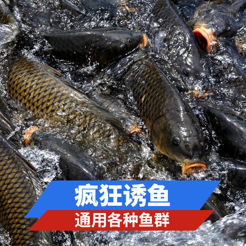 钓鱼王钓鱼小药鲫鱼饵料红虫液浓腥野钓黑坑腥味鱼饵秋季诱鱼剂,淘宝优惠券,粉丝福利购,淘宝优惠卷