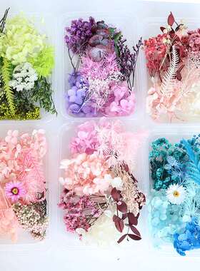 干花永生花diy押花材玻璃罩公司