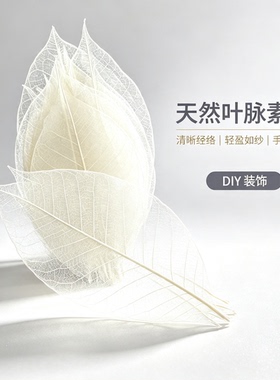 橡胶工艺相框叶脉拍照画花标本