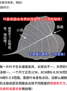花时未了画框装饰工艺品