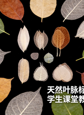 diy天然书签各种手工材料叶脉花