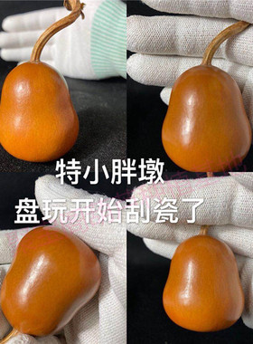 云朵梨葫芦种子特小胖墩葫芦籽