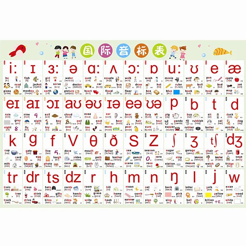 新版小学生英语国际音标挂图48个标准英文字母发音表儿童早教墙贴