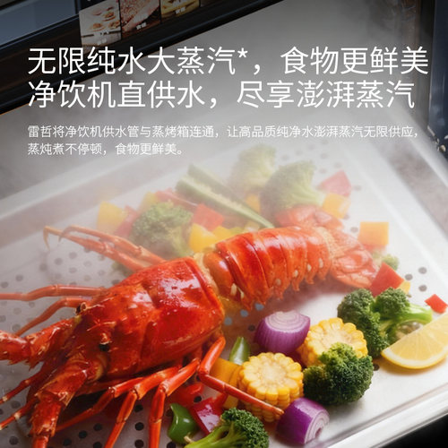 Reg雷哲嵌入式蒸烤箱家用电蒸箱大容量智能独立温控微蒸烤一体机 - 图3