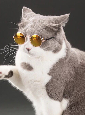 宠物猫眼镜猫咪墨镜复古太阳镜