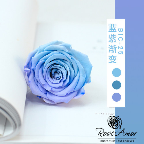 花纪永生花diy车挂玫瑰大号永生花厄瓜多尔进口roseamor5-6cm单朵 - 图0
