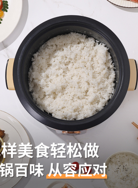 三角牌电饭煲6L大容量家用0涂层316不锈钢一键煮饭老式电煮锅