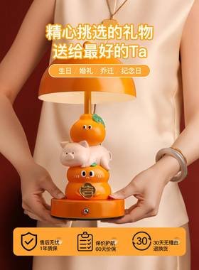 贝汉25101501礼美生猪柿大吉闺台灯摆件床头灯卧室装饰品送蜜女生