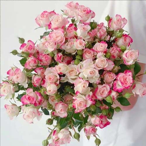 橙色芭比多头泡泡玫瑰花云南昆明基地鲜花速递同城百合花束母亲节 - 图2