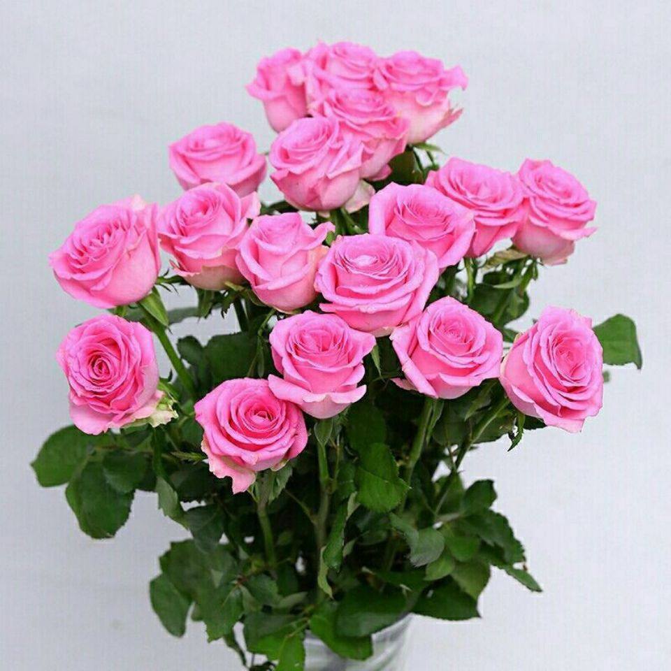 金枝玉叶玫瑰花云南昆明斗南基地直发水养百合鲜切花情人节包邮花,淘宝优惠券,粉丝福利购,淘宝优惠卷