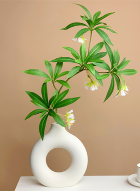 高档3D打印水石榕仿真绿植摆设