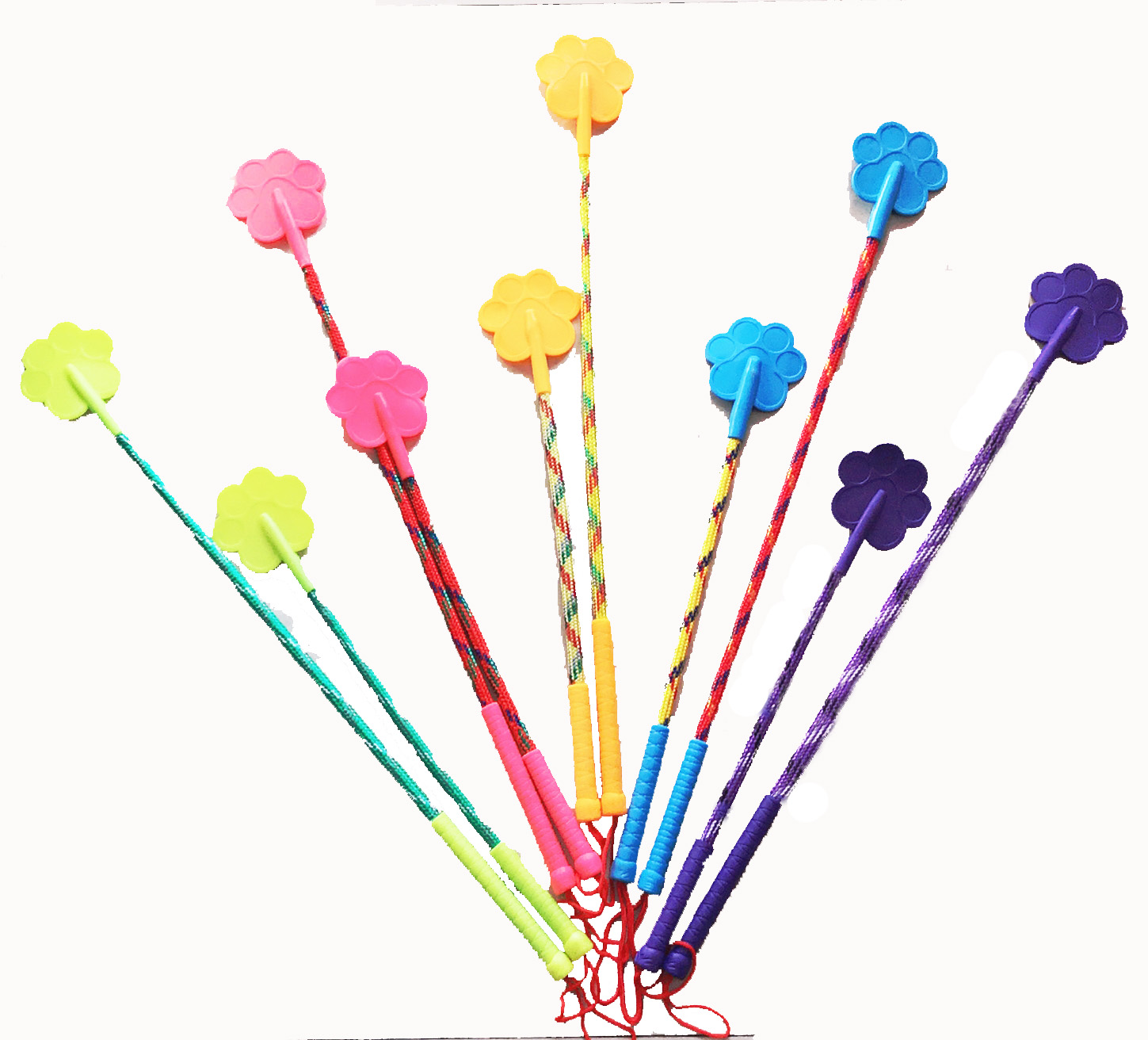 Dog Pet Training Equipment Artifact Training Supplies