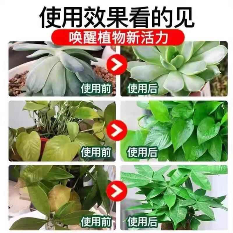 质植欣植物护理营养液官营店花肥通用型黄叶室内盆栽水培家用富贵 - 图1