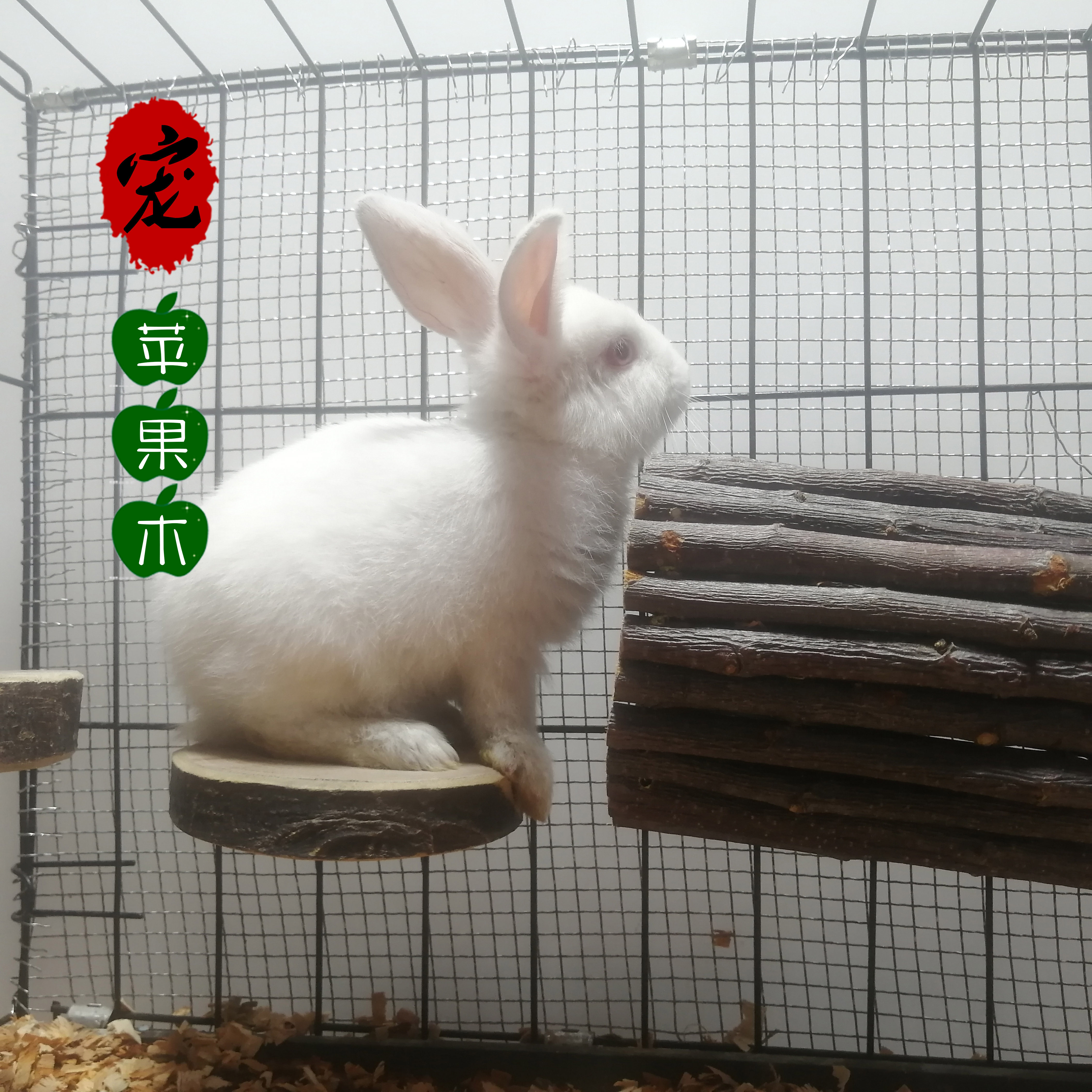 苹果木宠物隧道仓鼠龙猫躲避洞子金丝熊磨牙兔子豚鼠跑道玩具用品,淘宝优惠券,粉丝福利购,淘宝优惠卷