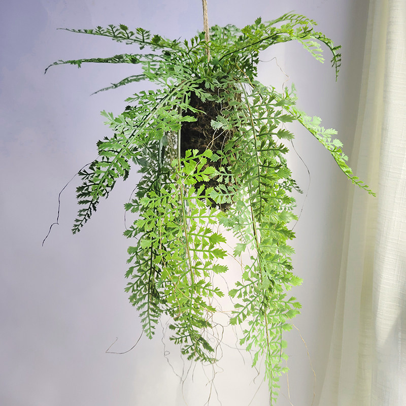 仿真植物蕨类垂吊植物草球绿野仙踪吊挂装饰绿植家居商铺橱窗餐厅,淘宝优惠券,粉丝福利购,淘宝优惠卷