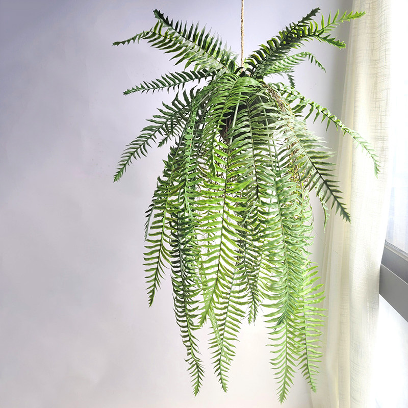 仿真植物蕨类垂吊植物草球绿野仙踪吊挂装饰绿植家居商铺橱窗餐厅,淘宝优惠券,粉丝福利购,淘宝优惠卷