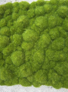 25年新品仿真苔藓草皮草坪通用人造青苔室内造景垫子草地布置地毯