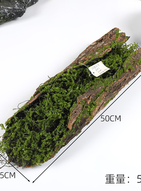创意树皮多肉苔藓摆放仿真植物