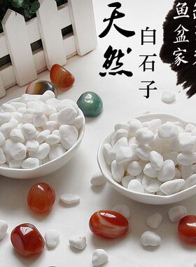 白石子鹅卵石造景白色石头子鹅软石鱼缸装饰小石子庭院铺地小碎石