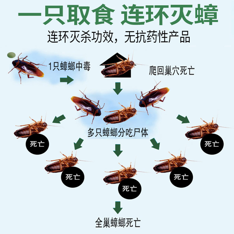 哗康晔康杀蟑胶饵10克装华康强力灭蟑螂药剂清蟑螂克星全窝端家用 - 图0