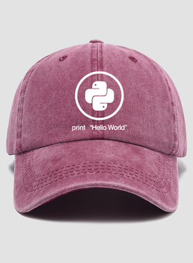 人生苦短我用python程序员遮帽子