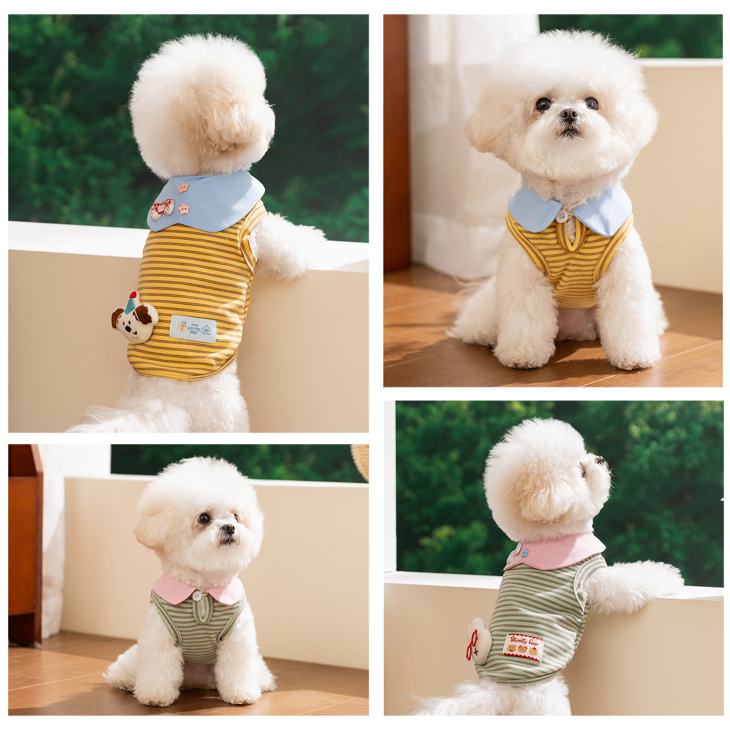 Hippie dog hits the streets with eye-catching spring and summer doll vest