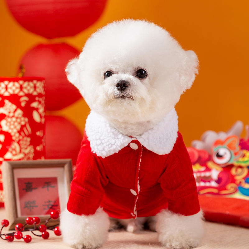 龙年牵引狗狗衣服新年冬季泰迪比熊博美小型犬宠物秋冬款喜庆棉衣-图1