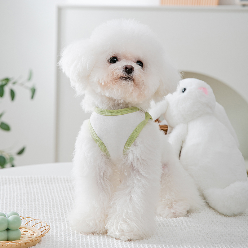 小狗狗衣服夏季可牵引薄款泰迪背心比熊雪纳瑞猫咪小型犬宠物夏天 - 图1