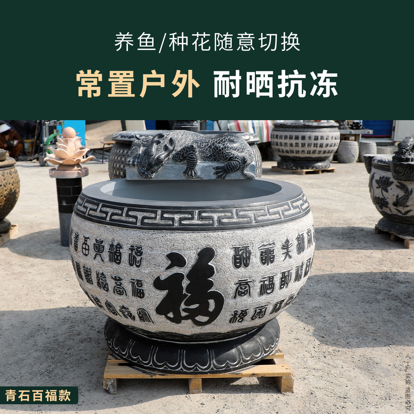 图 5
